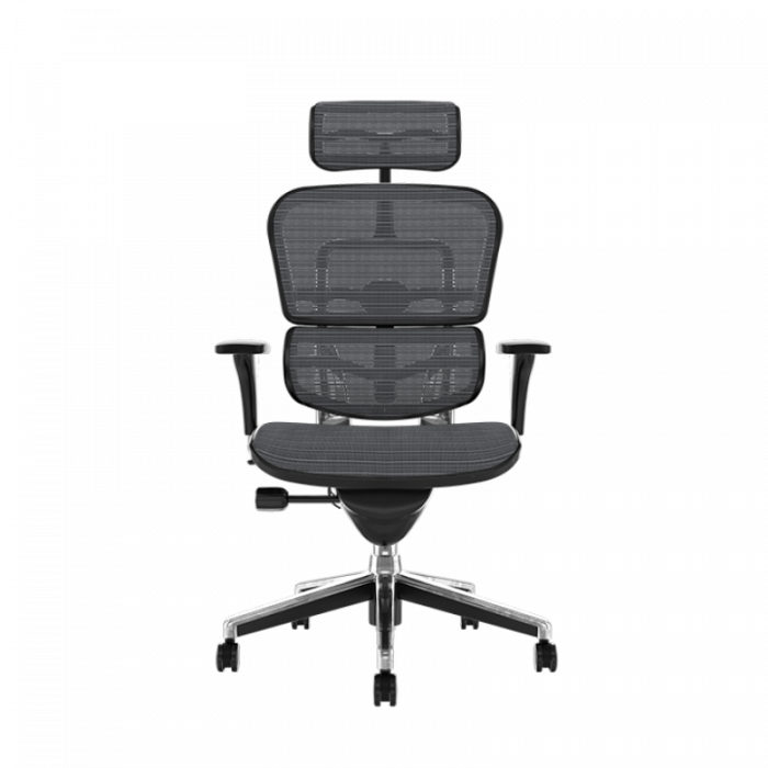 Scaun office ergonomic ERGOHUMAN PDH [4]