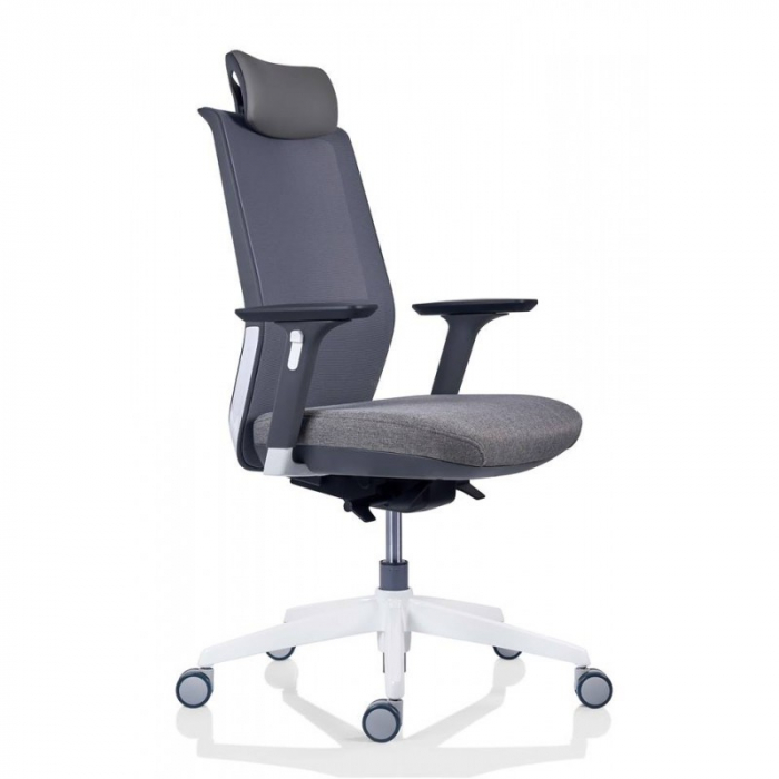 Scaun office ergonomic TESLA MESH PDH [5]