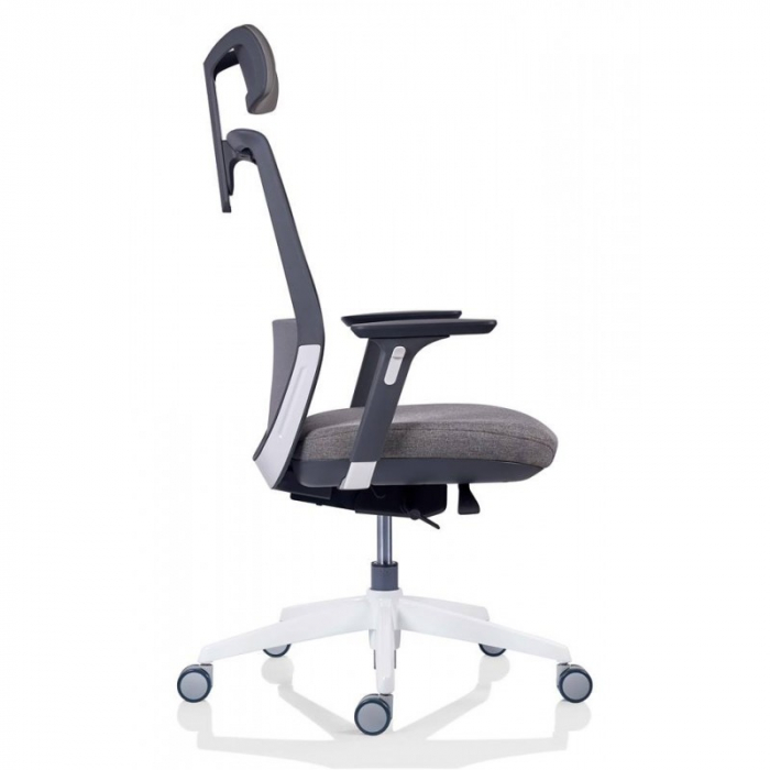 Scaun office ergonomic TESLA MESH PDH [7]