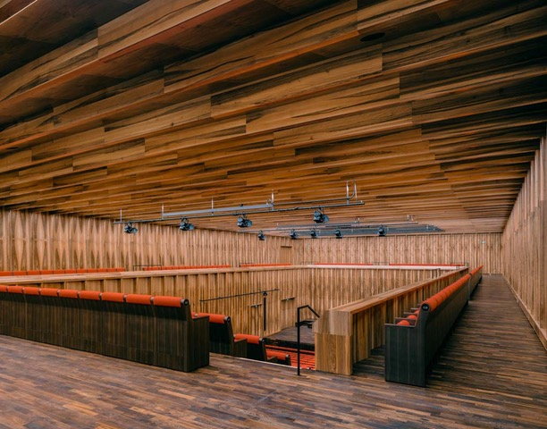Scaune auditorium customa made pentru sala de spectacole sau concerte CARMEN FORUM [7]