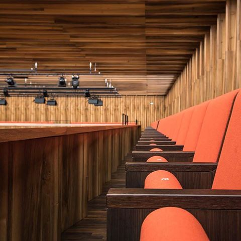 Scaune auditorium customa made pentru sala de spectacole sau concerte CARMEN FORUM [16]