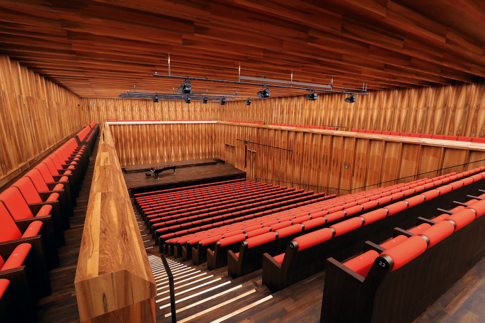 Scaune auditorium customa made pentru sala de spectacole sau concerte CARMEN FORUM [18]