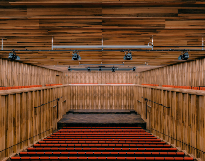 Scaune auditorium customa made pentru sala de spectacole sau concerte CARMEN FORUM [17]