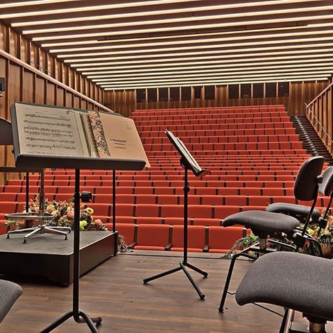 Scaune auditorium customa made pentru sala de spectacole sau concerte CARMEN FORUM [14]