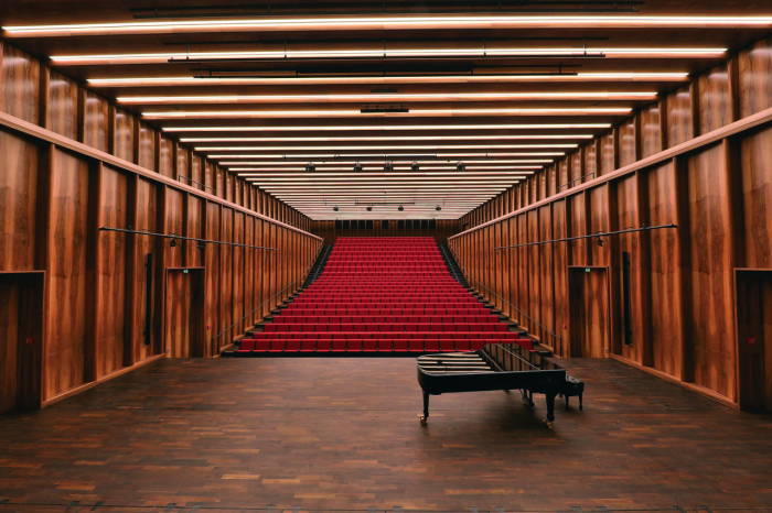 Scaune auditorium customa made pentru sala de spectacole sau concerte CARMEN FORUM [9]