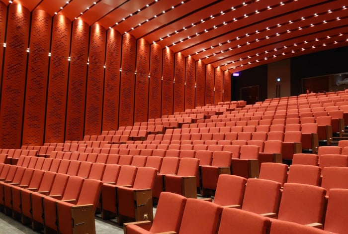 Scaune auditorium custom made pentru sala de spectacole sau concerte PALACE MUSEUM [3]