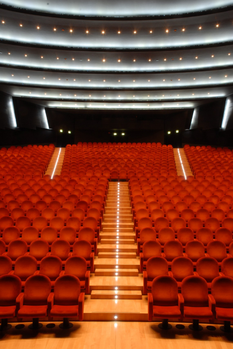 Scaune auditorium sala de teatru sau concerte PALLADIUM [4]