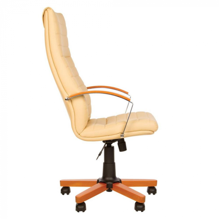 Scaune office birou directoriale IRIS [15]