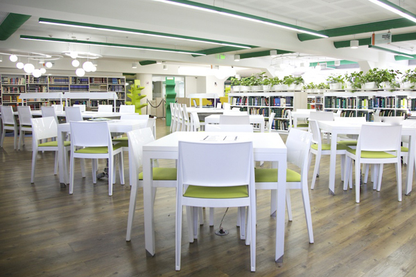 Scaune plastic GYZA [2]