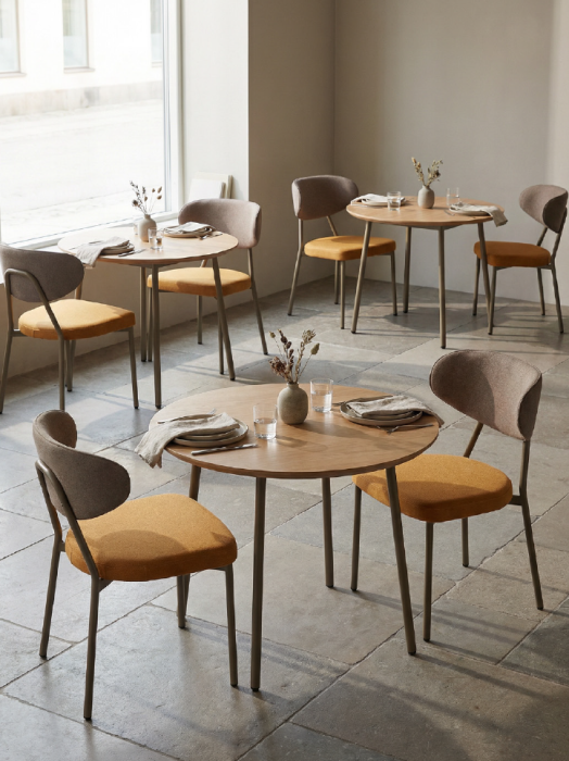 Scaun de HoReCa cu cadru metalic - SHELL [3]