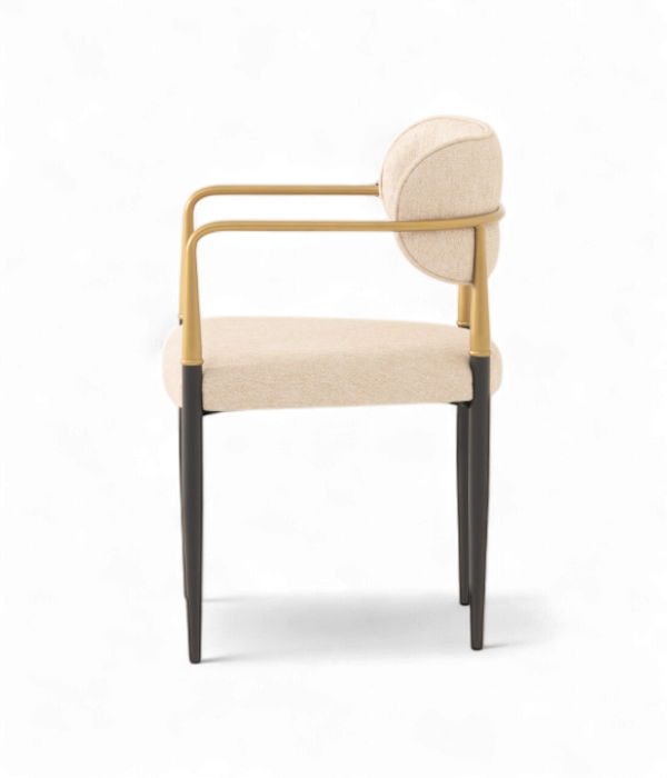 Scaun elegant cu brate metalice si cadru din lemn - SKY [3]