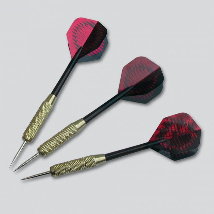 Tinte traditionale joc darts PEGASUS [5]