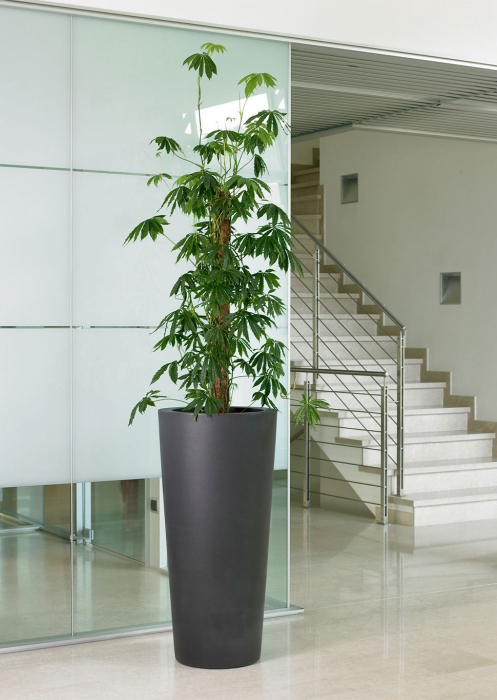 Vase gradina din plastic ILIE [8]