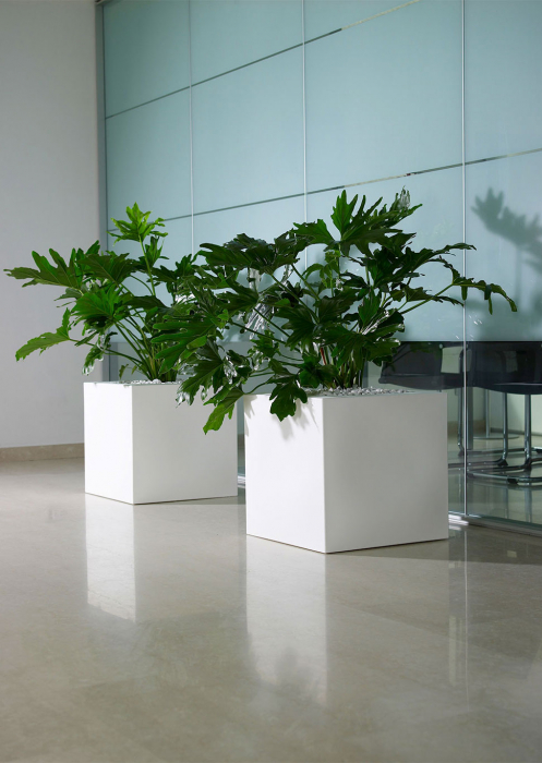 Vase gradina din plastic KUBE [12]