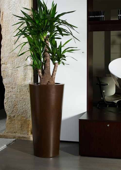 Vase gradina din plastic lucios ILIE [4]
