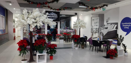 Floraria Rhapsody - Centrul Comercial Auchan - Craiova, DJ (2019) [3]