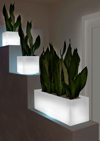 Obiecte decorative luminoase - Jardiniera luminosa plante MINI KUBE