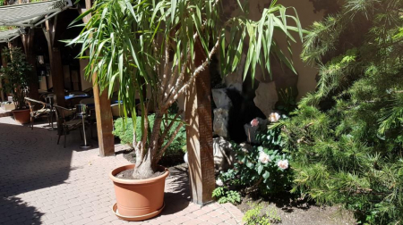 Restaurant Potcoava - Bucuresti (2018) [9]