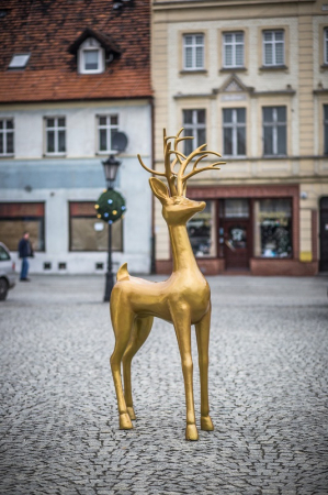 Rudolph permanent [2]