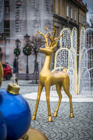 Rudolph permanent [3]