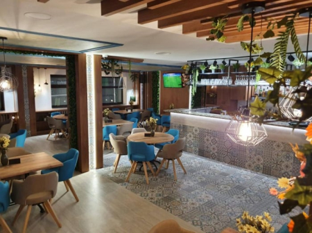 Scaune complet tapitate cadru lemn LEON 1 [4]