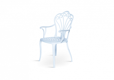 Scaun de terasa cu brate din metal in stil art nouveau - SUWAN CG 507 [1]