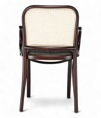 Scaun cu brate in stil mid century pentru HoReCa - NEST [2]