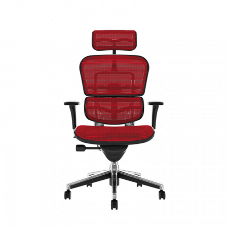 Scaun office ergonomic ERGOHUMAN PDH [2]