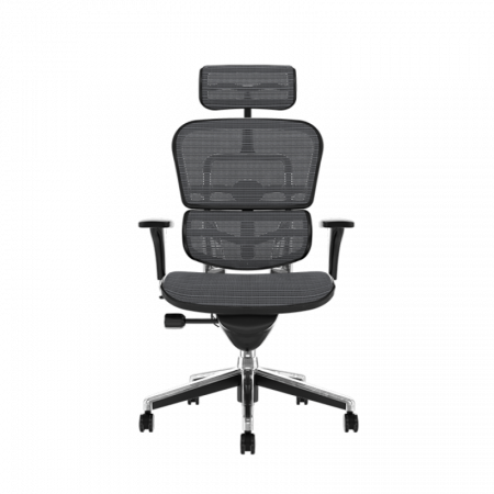 Scaun office ergonomic ERGOHUMAN PDH [3]