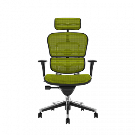 Scaun office ergonomic ERGOHUMAN PDH [1]