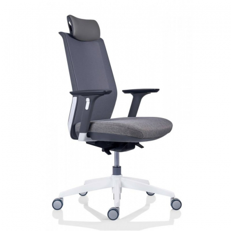 Scaun office ergonomic TESLA MESH PDH [4]