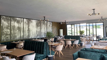 Scaune complet tapitate cadru lemn LEON2 [2]