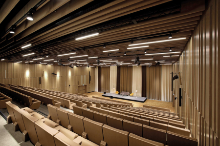 Scaune auditorium custom made pentru sala de spectacole sau concerte BNP Luxemburg [1]