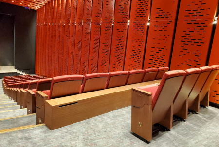 Scaune auditorium custom made pentru sala de spectacole sau concerte PALACE MUSEUM [6]