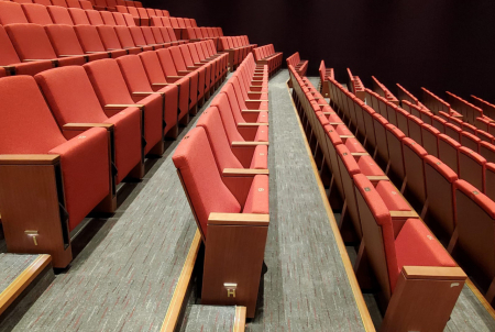 Scaune auditorium custom made pentru sala de spectacole sau concerte PALACE MUSEUM [3]