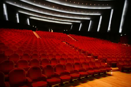 Scaune auditorium sala de teatru sau concerte PALLADIUM [1]