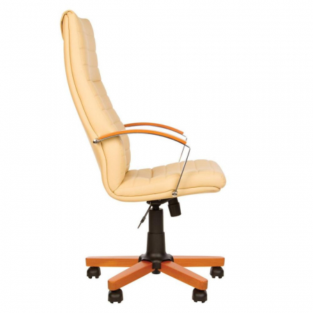 Scaune office birou directoriale IRIS [14]