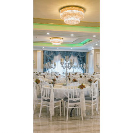 Scaun de nunta si evenimente, ce sustine 120 KG - ELITE [4]