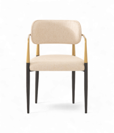 Scaun elegant cu brate metalice si cadru din lemn - SKY [1]