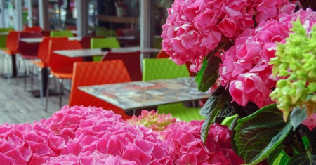 The Noodle Bar by Tuk Tuk - Piata Dorobanti, Bucuresti (2019) [2]