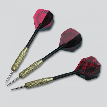 Tinte traditionale joc darts PEGASUS [4]