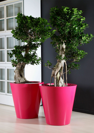 Obiecte decorative - Vas gradina din polietilena lucioasa KUNO