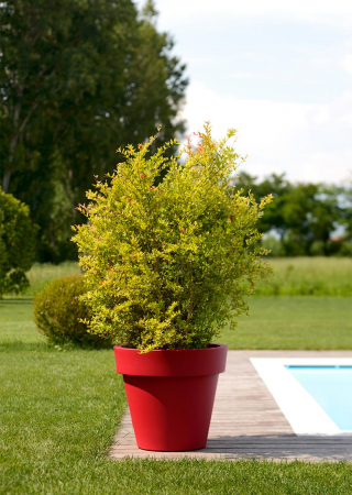 Obiecte decorative - Vase gradina din plastic IKON