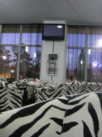 Zebra Bussiness Caffe - Tulcea, TL (2012) [8]