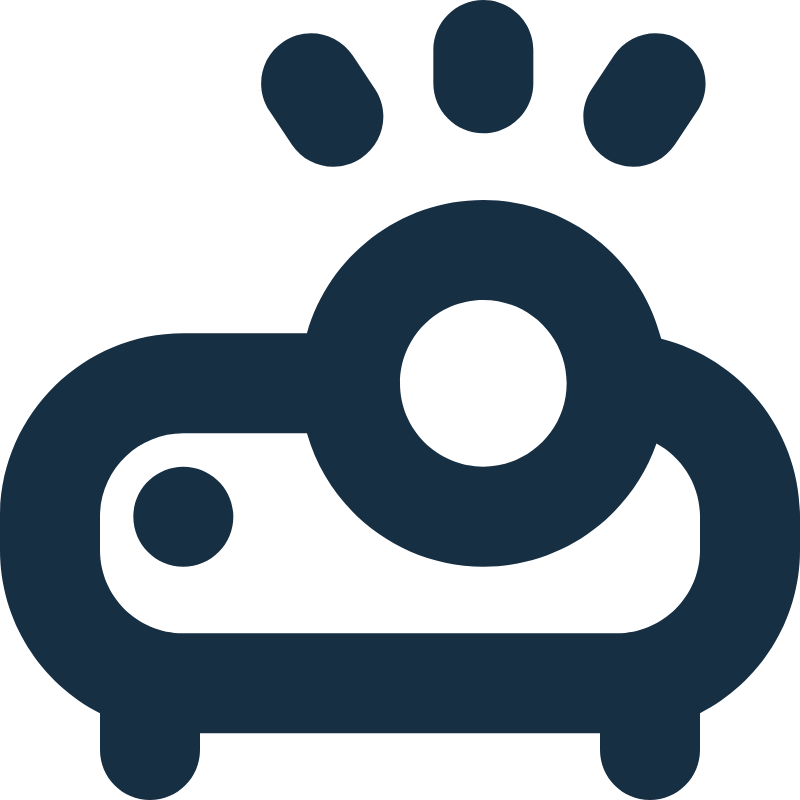 Videoproiectoare