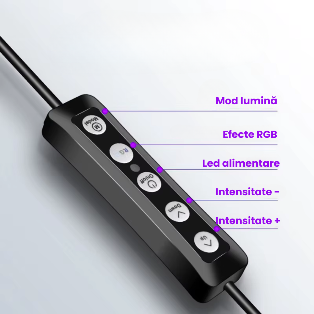 Lampa Circulara LED Ring, Diametru 33 cm, Lumina calda, neutra, rece [5]