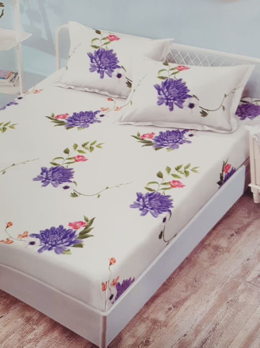 HUSA DE PAT FINET [1]