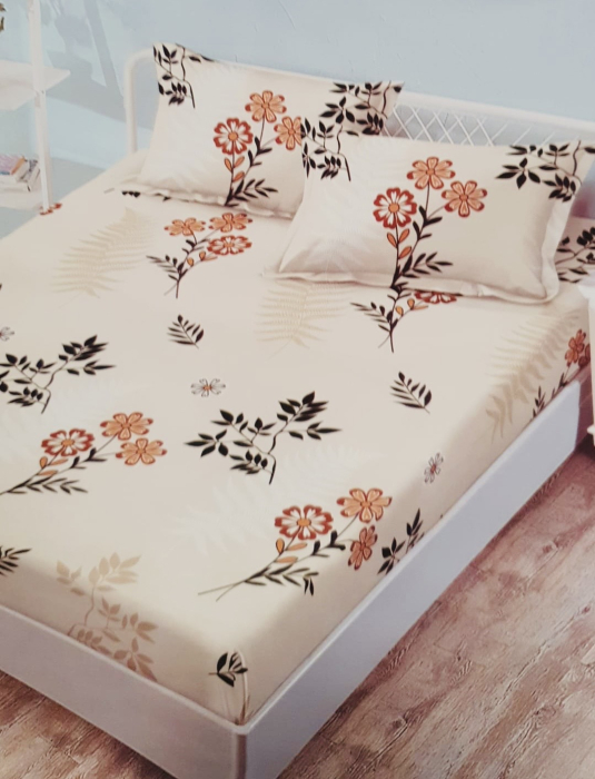 HUSA DE PAT FINET [1]