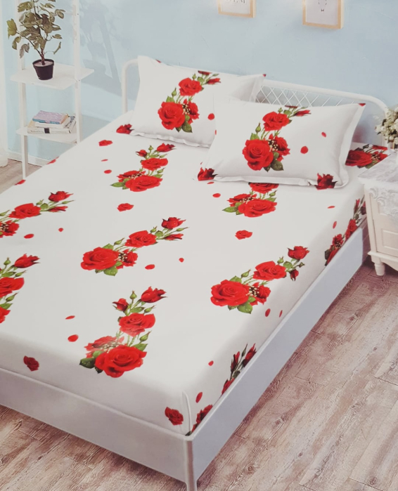 HUSA DE PAT FINET [1]