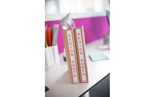 TZE252 24mm RED ON WHITE [4]